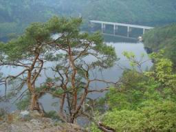 Resize of DSC02055.JPG